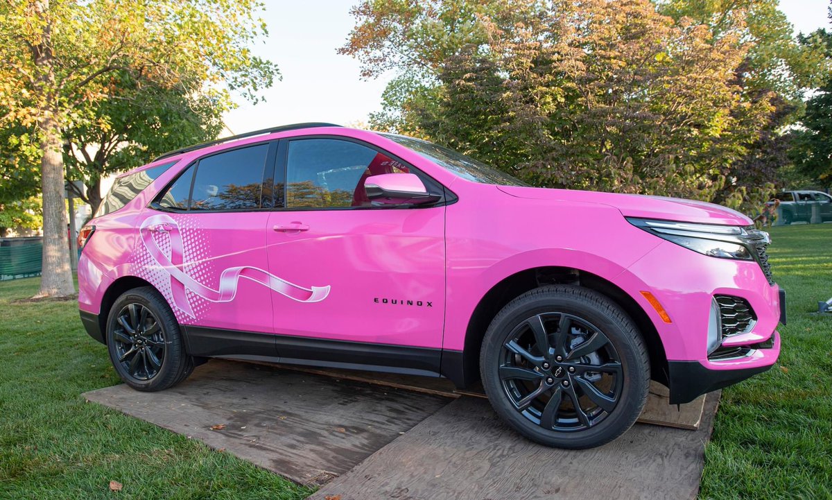 Making Strides Against Breast Cancer Chicago tweet media