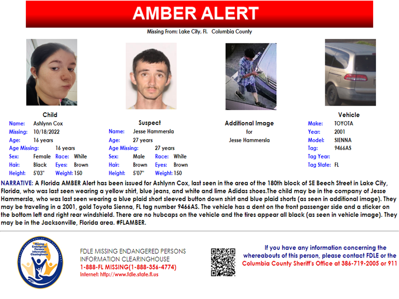 FDLE on Twitter "PLEASE SHARE THIS POST! A Florida AMBER Alert has