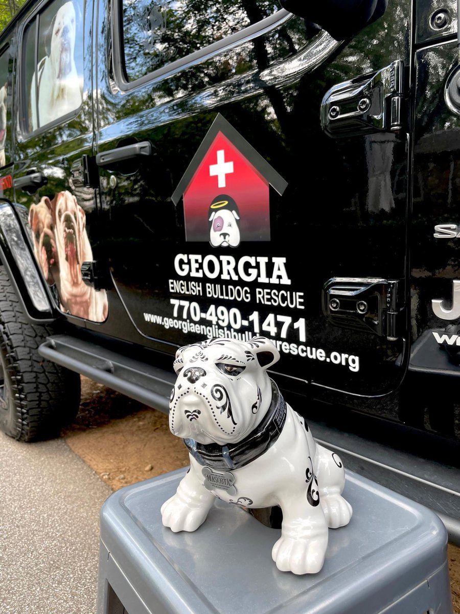 A big shout out to all of the rescues out there helping animals in need! Together, we will make a difference in the lives of many animals! 🐾 
Thank you "Cindy and the Georgia English Bulldog Rescue” for your love and support of #MascotaTequila Cheers! 🥃🐾 #inspiredbylove ❤🐾
