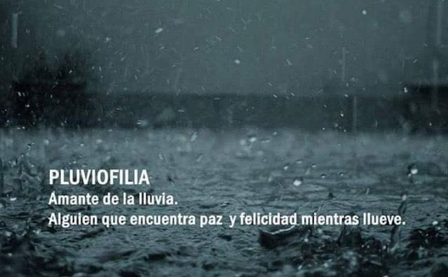 Amo la lluvia.