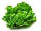 jmnesbitt's tweet photo. @stephenfry @BorisJohnson Can we not have the 🥬? 
It’s a little brown, it’s still good, it’s still good! https://t.co/4nfMWthyI3