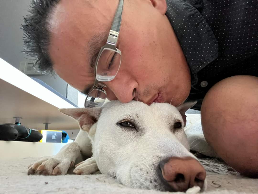 waynehhsiung's tweet photo. This little guy - rescued days from slaughter for dog meat - proves that miracles can happen.

Today, after one month away, I finally get to see him again. And I can't f___ing wait!

Against all odds, papa is coming home, Oliver! #SmithfieldTrial #RightToRescue 1/3 https://t.co/4eBqxGpYt8