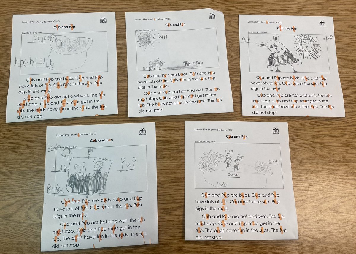 Stacy Johnson 🌱 tweet media