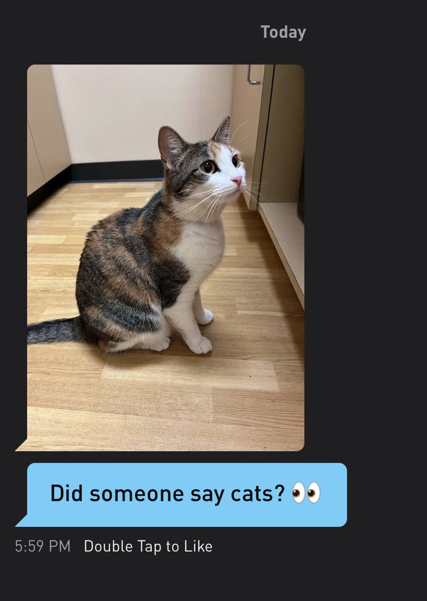 CatsofGrindr's tweet photo. https://t.co/QCV88N3m2N