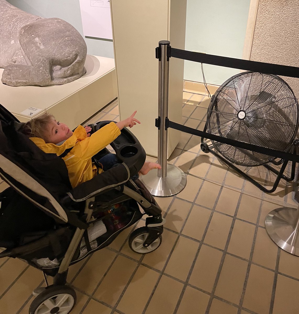 Nathan W Pyle tweet media