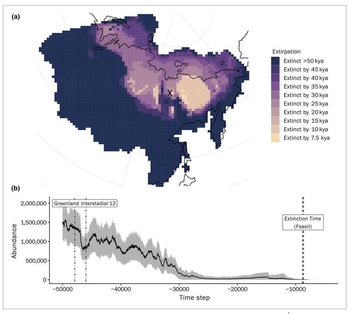 50,000 year reconstruction of steppe bison dynamics uncovers drivers and mechanisms of #extinction in Siberia.  See our paper out today in <a href="/GEB_macro/">GEB Journal</a> with @ecomodeling <a href="/Carsten_Rahbek/">Carsten Rahbek</a>
<a href="/BraveNewClimate/">Barry Brook</a> and others.
#ecology #ClimateChange