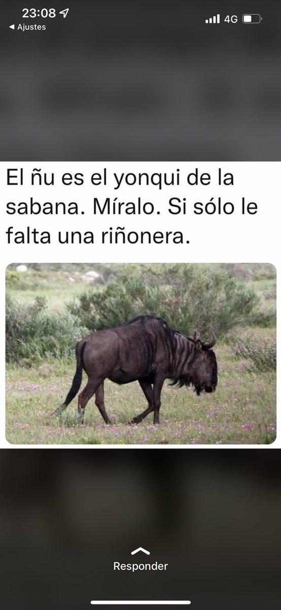 Daniel Martín tweet media