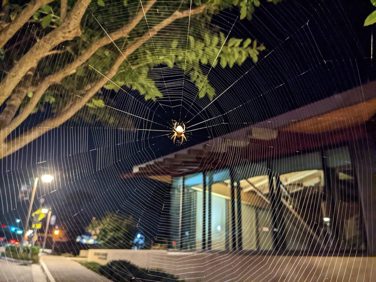 inflexi0n (@inflexxion) on Twitter photo 