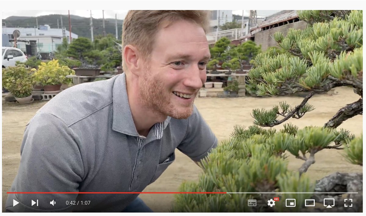 THEBONSAI_nft tweet picture