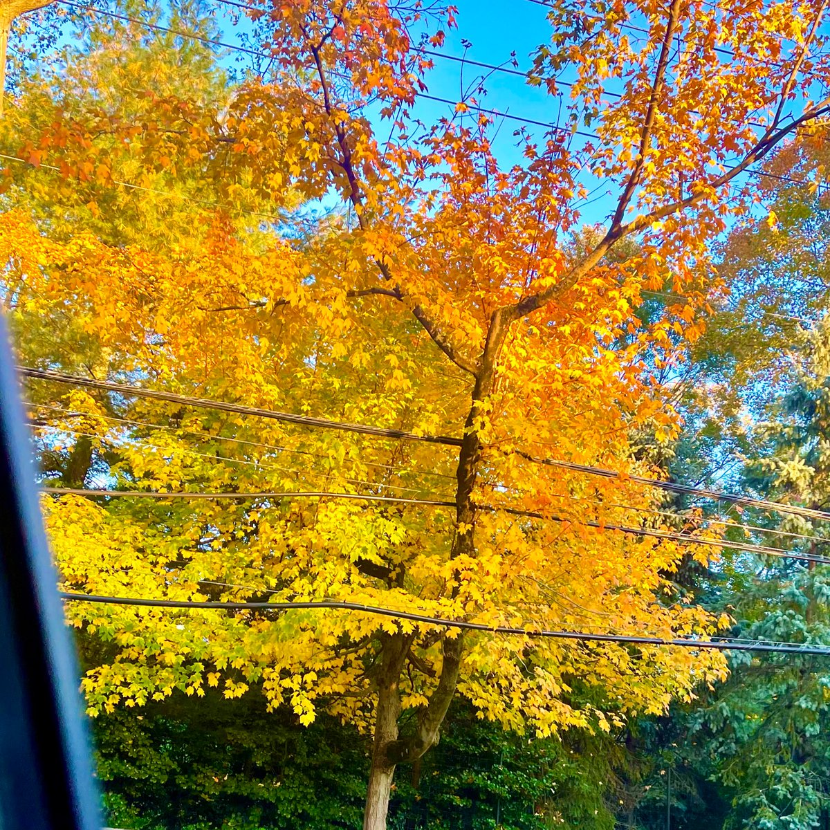 Eugenia Cooney on Twitter "Fall is such a beautiful time 🍁"