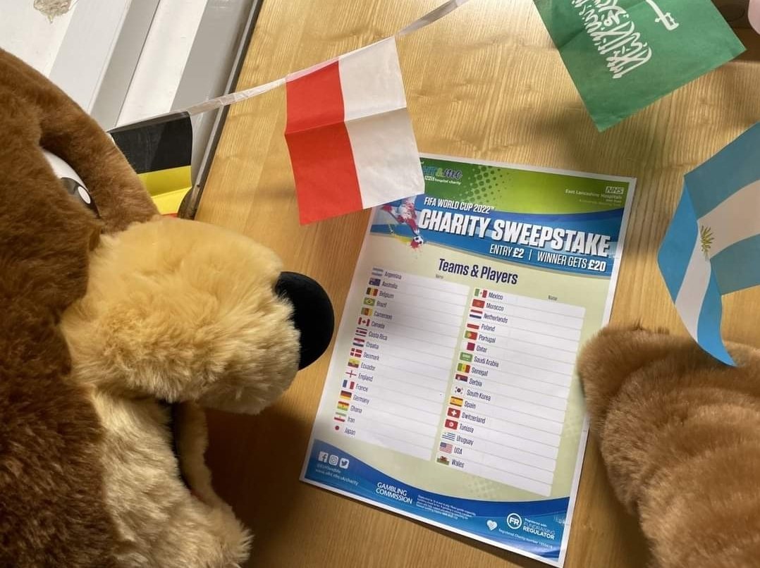 Denise Gee tweet media