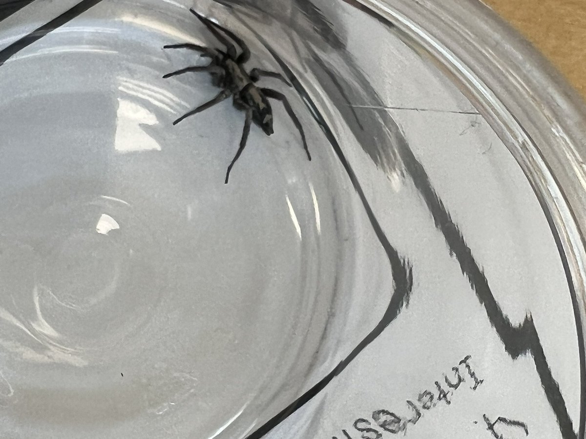 Linda Broderick tweet media