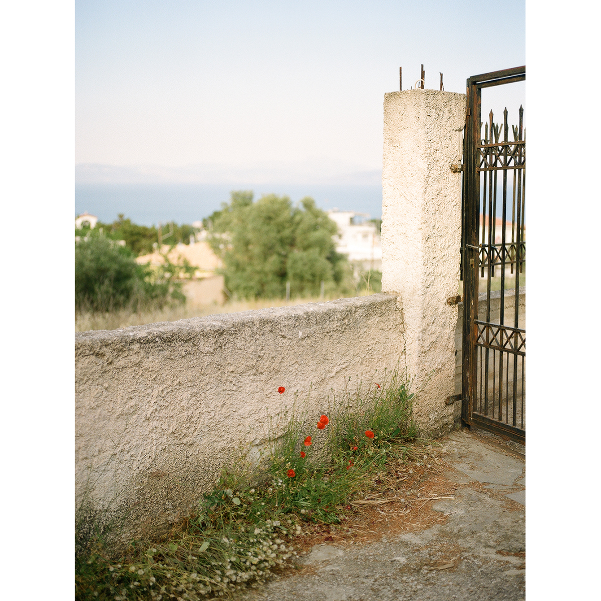 KodakProFilmBiz's tweet photo. 📷Hashem McAdam @PushingFilm 
https://t.co/qKXFgwUn9T
#pushingfilm
https://t.co/SgUQWYWORD
🎞️#Gold120 #Gold200

#kodakprofessional #travelfilmphotography #boatsonfilm #streetfilmphotography #shootfilm #filmisnotdead #filmphotography #filmcommunity #analogphotography https://t.co/GAns40Y9V1