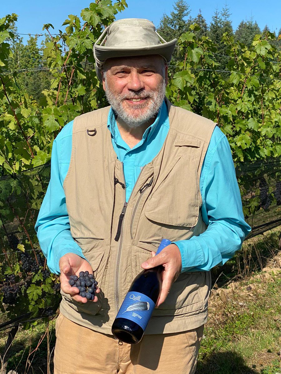 Town Hall Brands tweet media