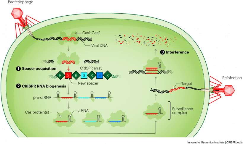 HealthNotes.jpg on Twitter: 