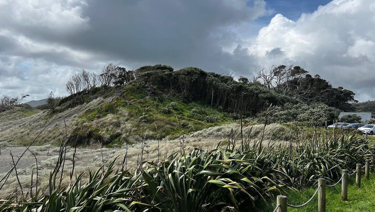 It’s been a super busy month down here in New Zealand, so it was so nice to get out of the city and start to see some of the extraordinary beaches and scenery here. #murawaibeach