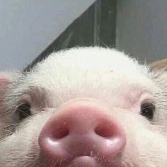 Alebelav's tweet photo. Mood. https://t.co/AicUszpI2k