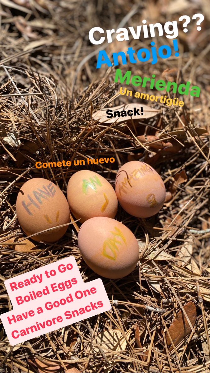 FraNPLRV's tweet photo. A Snack Being Carnivore

Mi Snack Siendo Carnívoro 

#carnivorediet #carnivore https://t.co/FRiIbIHV0S