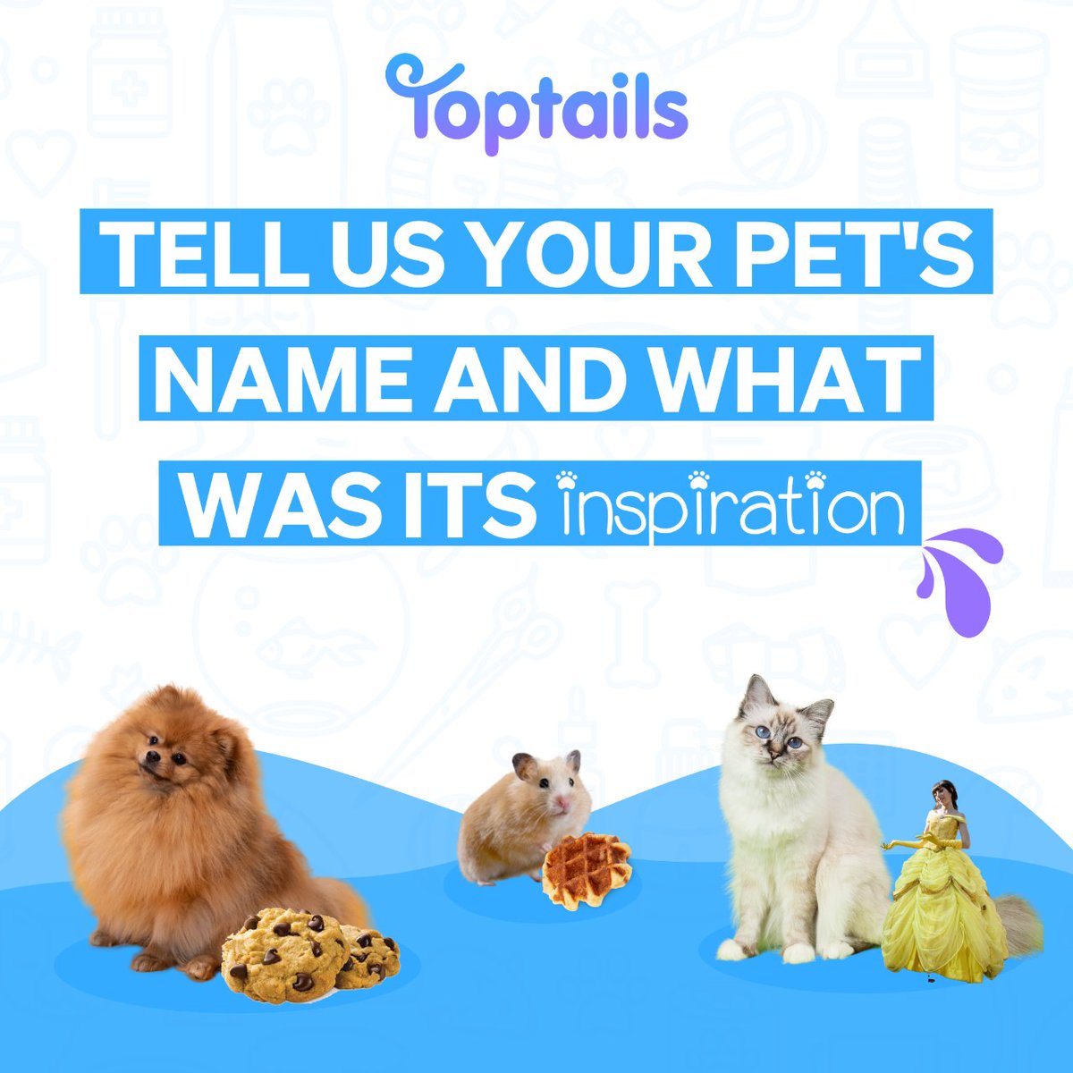 TeamTopTails's tweet photo. Can you guess the name of those three in the picture? 🐱🐶🐹
#Toptails #PetNames #DogNames #CatNames #PuppyNames #PuppyOwner #Cats #Dogs #GuineaPig #Birds https://t.co/rZrpgrxWXW