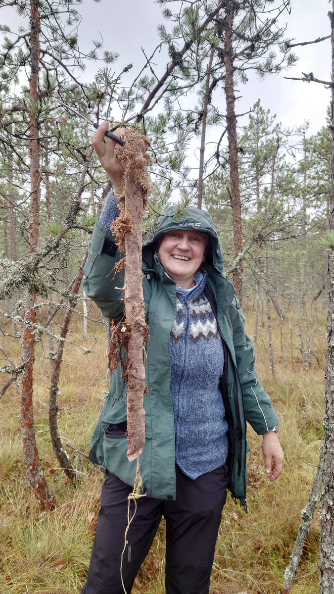 Marili Sell (@marilisell) on Twitter photo Professor <a href="/IvikaOstonen/">Ivika Ostonen</a> showing us how to catch a big bog-fish (in Latin Ingrowth'icus core'us) 💪 Professor <a href="/IvikaOstonen/">Ivika Ostonen</a> showing us how to catch a big bog-fish (in Latin Ingrowth'icus core'us) 💪
