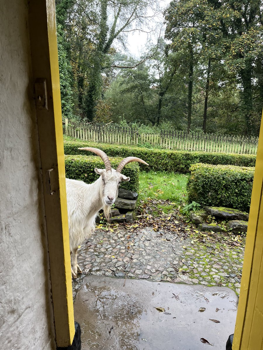 meskutes10's tweet photo. Couple memories of #UlsterFolkMuseum ☺️. Highly recommend visiting and exploring Ulster history and it’s traditions. #ITTM https://t.co/VA4BaMah9X