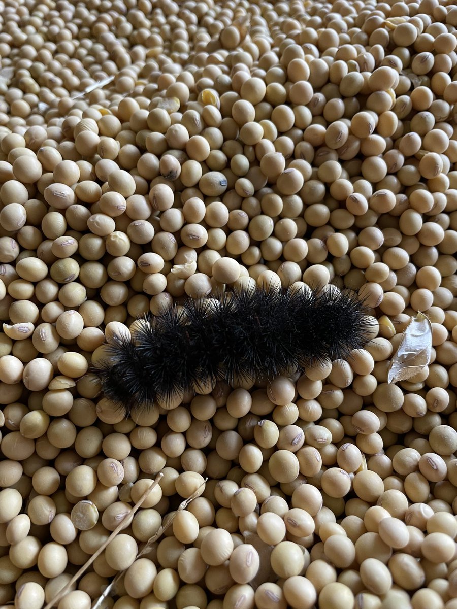 Not looking good!!!
<a href="/NutrienAgRetail/">Nutrien Ag Solutions</a> <a href="/NutrienEast/">Nutrien Ag Solutions-East</a> <a href="/DynaGroSeed/">Dyna-Gro Seed</a> <a href="/growloveland/">Loveland Products</a> <a href="/GretaGrayHacker/">Greta Gray</a> <a href="/snodgrss/">Eric Snodgrass</a>