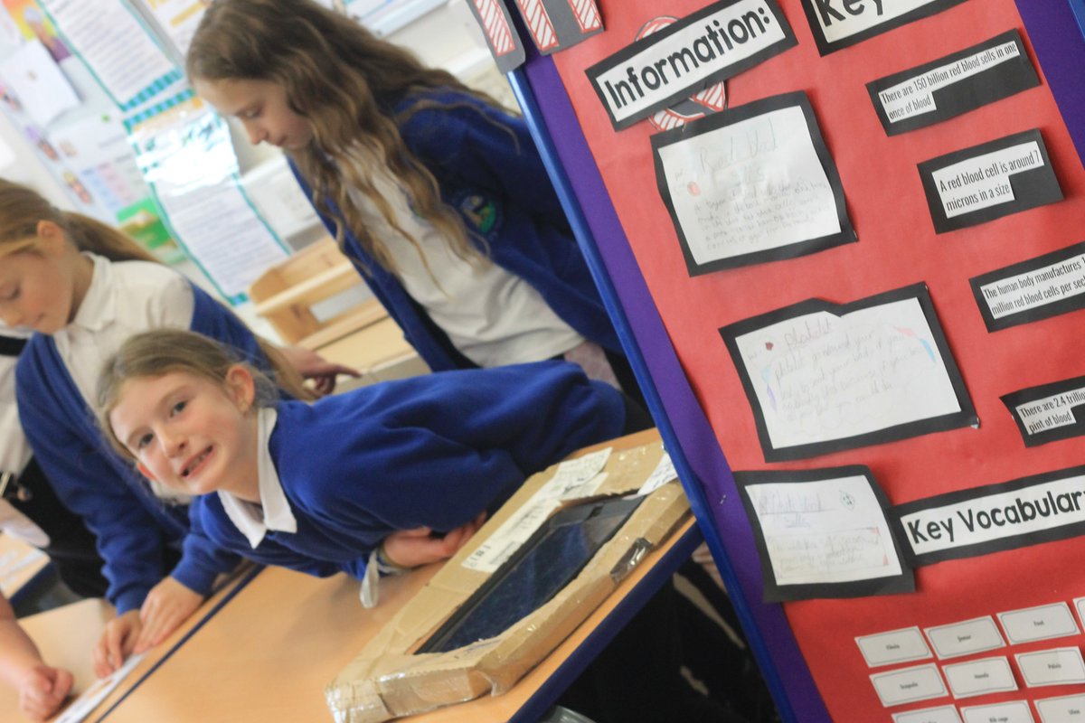 Catcliffe Primary tweet media