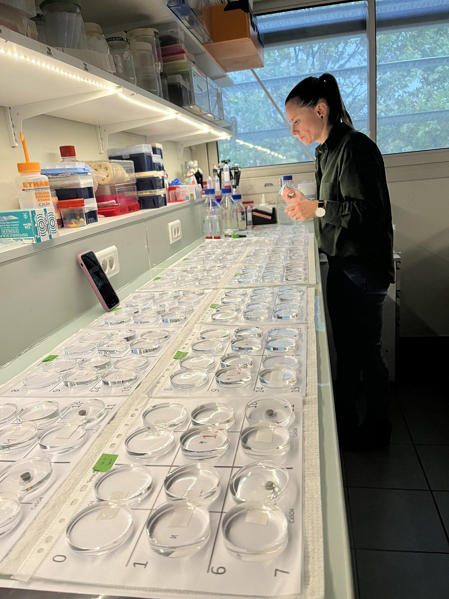 Gabriel Krouk 光希 tweet media