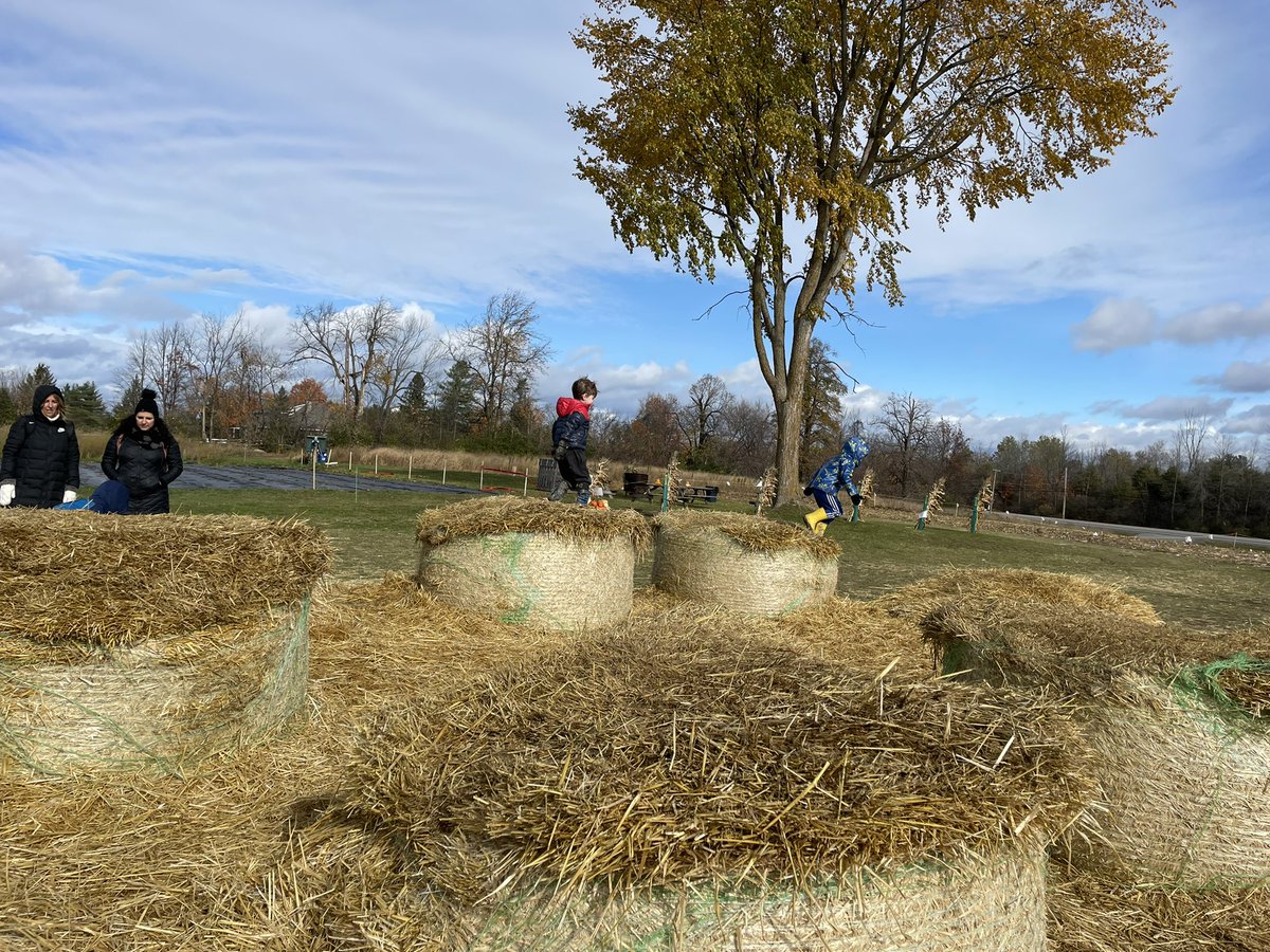 KindertownJS2's tweet photo. More haybale fun! https://t.co/JL782N33kp