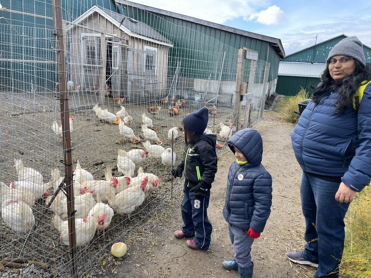 KindertownJS2's tweet photo. Saw some bunnies and chickens on our field trip too! https://t.co/A7oAOtsdJm