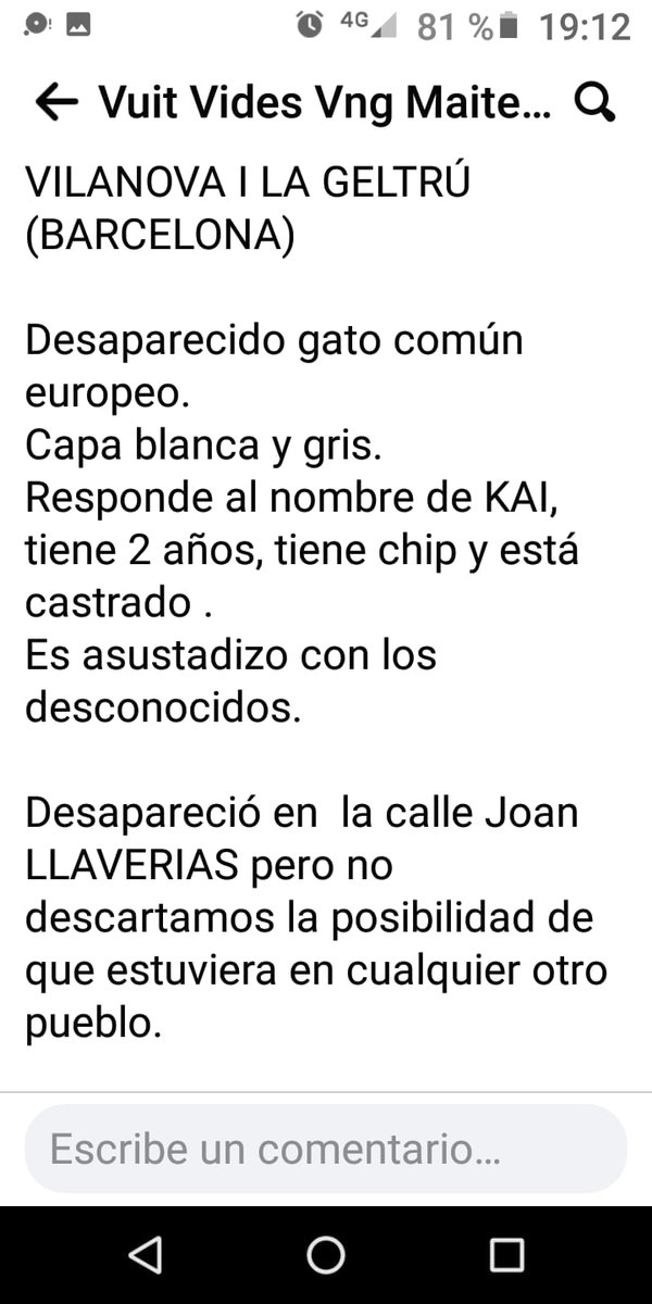 gats_protectora's tweet photo. Difusió!!
Ens passen aquesta publicació del Kai perdut a Vng al c/Joan Llaverias, pot estar per Vilanova o una altre població doncs el seu germà va aparèixer a bastants quilòmetres de Vilanova.
#difusio #gatperdut #XarxaBarcelonaPerduts #XarxaAnimalista  #vilanovailageltrú https://t.co/PTZEZTFxgd