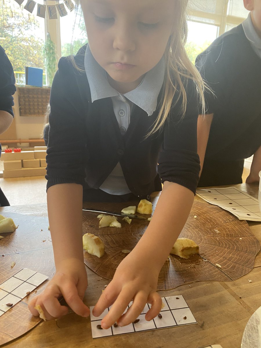 Monnow Primary School tweet media