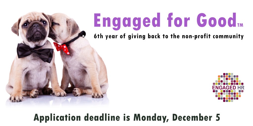 EngagedHR's tweet photo. 📢 Engaged for Good applications start now! 📢

If you are currently employed by a non-profit organization in Canada and you really like HR, check out the link below to apply!
#nonprofit #EngagedForGood #ArtOfHr #EngagedHR

https://t.co/sWfsABkEuW https://t.co/HQT9Lb9RsA