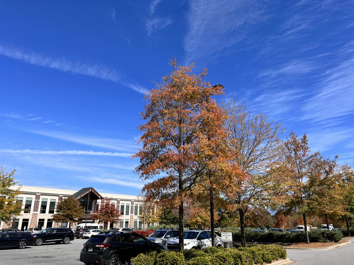 MAHECwnc's tweet photo. It is a beautiful day at our Biltmore campus! #asheville #fallcolors #MAHEC https://t.co/F9mLGtVd7J