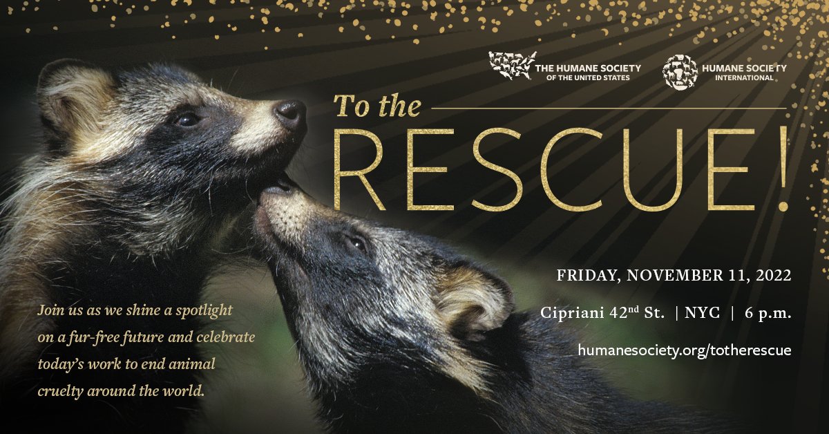 MissionWired (Formerly CCAH) tweet media