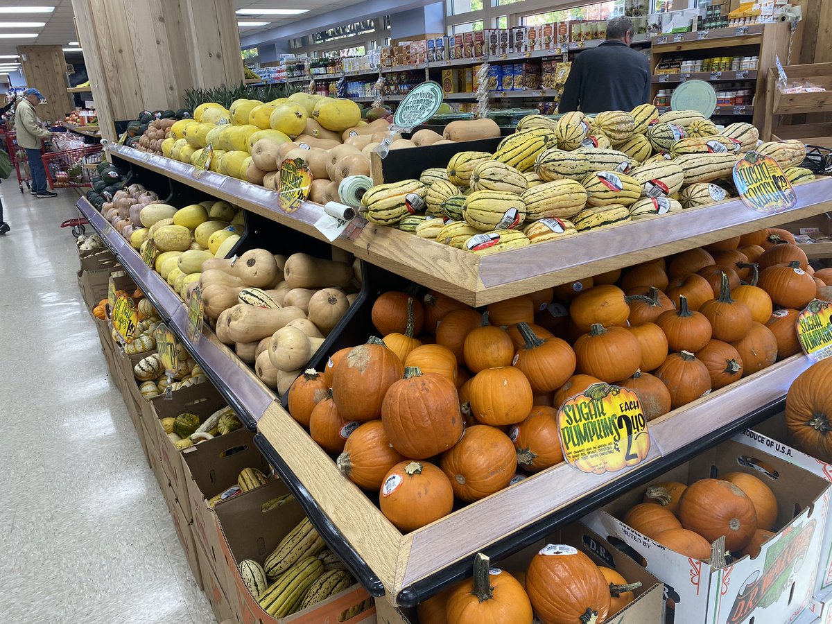 apiculturalLdn's tweet photo. Amazing variety of squash and pumpkin on offer in US super markets. Never seen spaghetti squash on shelves back home- I’ve had to grow it myself. Pollinated by Peponapis bees #squashbee #pumpkin #squash https://t.co/4W2jKOJ71j