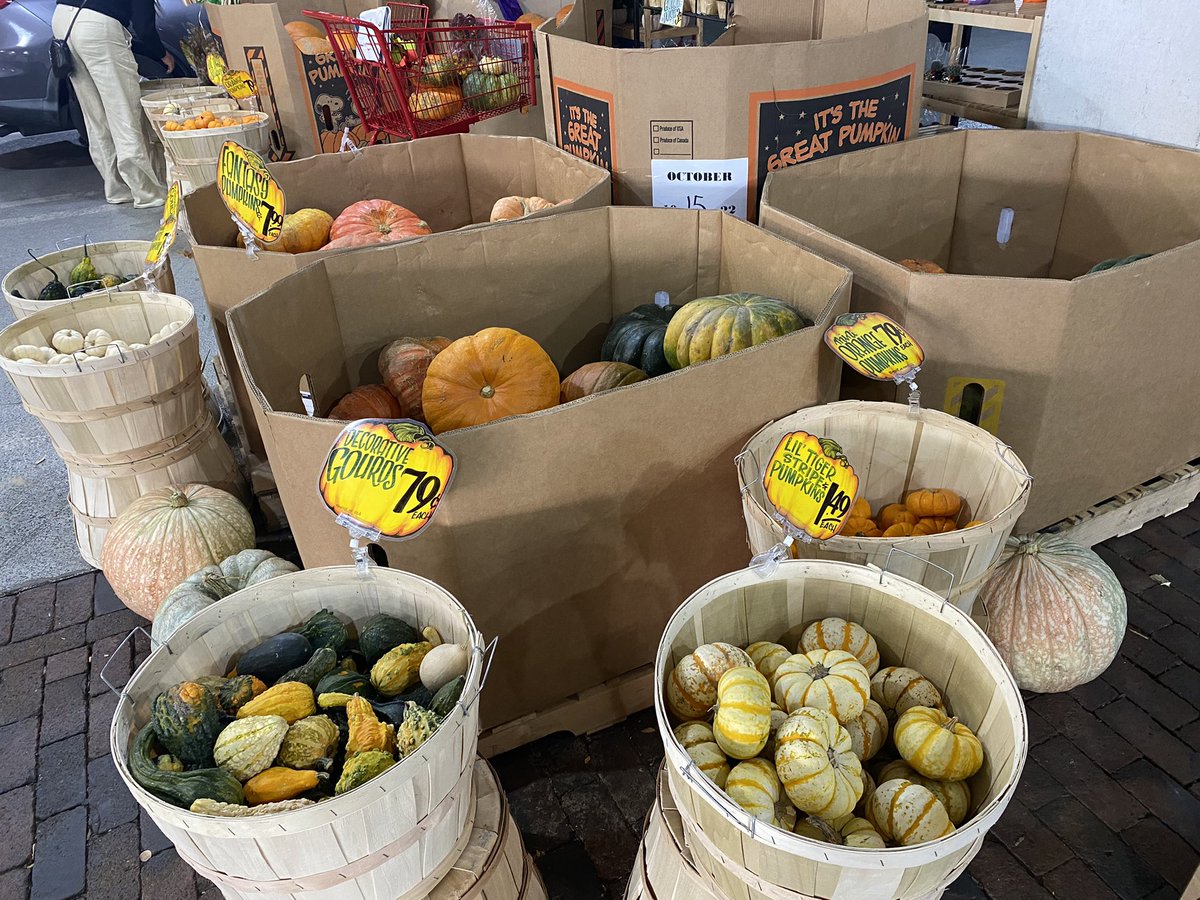 apiculturalLdn's tweet photo. Amazing variety of squash and pumpkin on offer in US super markets. Never seen spaghetti squash on shelves back home- I’ve had to grow it myself. Pollinated by Peponapis bees #squashbee #pumpkin #squash https://t.co/4W2jKOJ71j