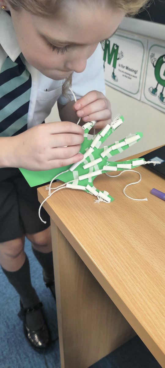 Year3Somers's tweet photo. This week, the children were learning how our body moves. We learnt about how the tendons and ligaments are connected to the bones and muscles. We created our very own model of a hand with ligaments and bones. https://t.co/6v2bT5qmyv