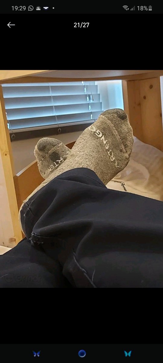 tropicalbearguy's tweet photo. Thinking about getting rid of these. These hard working feet deserve something new, don't u think so?

#SOCKSMELLING #sockworship #socksmaster #feettwitter https://t.co/gDTdJTWekJ