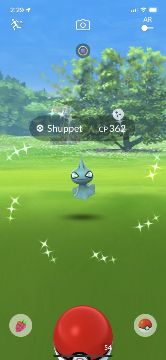 LilSebastianSa1's tweet photo. Spooky season treating me alright!! #shinypokemon #PokemonGOHalloween https://t.co/Kr1z2CgnxZ