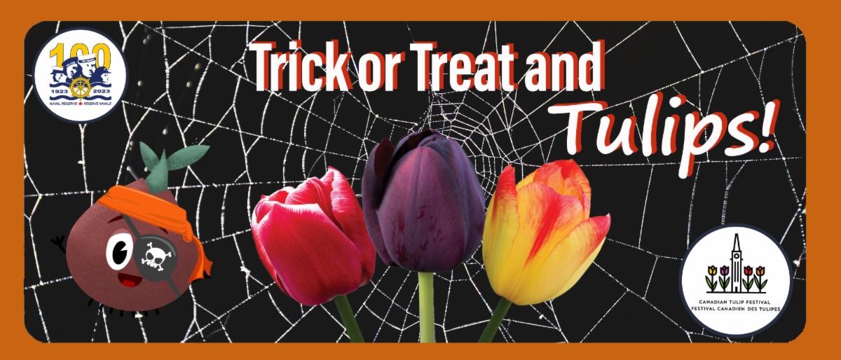 Start your spook-tacular garden display by supporting the @CdnTulipfest this fall! 🌷😱 Proceeds from their Halloween bulbs support the Canadian Tulip Legacy charity and celebrate the Naval Reserve’s Centennial️ 👉 bit.ly/3sdXHgu #MyOttawa