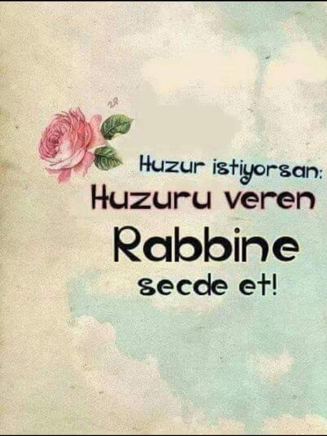 @EcdadTorunu4066 @Sevda__38 @esraslntrk40 @muradiyealtay06 @selamolsun_4006 @DenizZBarlas @fatmazer1634 @_MA_NOL_YA_ @Svm__Ce @Lavanta_12 @ah_de_ @Trabzon61_RTE @ilbilgehatun28 @ADLER38 @AK_DEDE_66 @osmanlinz @27Hkandamar @__Baha___1245 Hâyır'lı geceler 
Cuma akşamımız mübarek olsun 🌹🤲🏼☝️
Teşekkür ederim abi