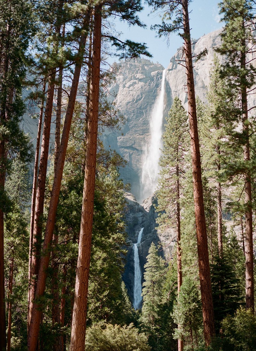 jakob_lr's tweet image. Yosemite road trip 🎞
