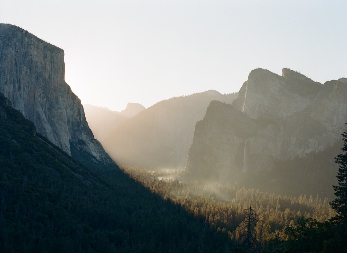 jakob_lr's tweet image. Yosemite road trip 🎞