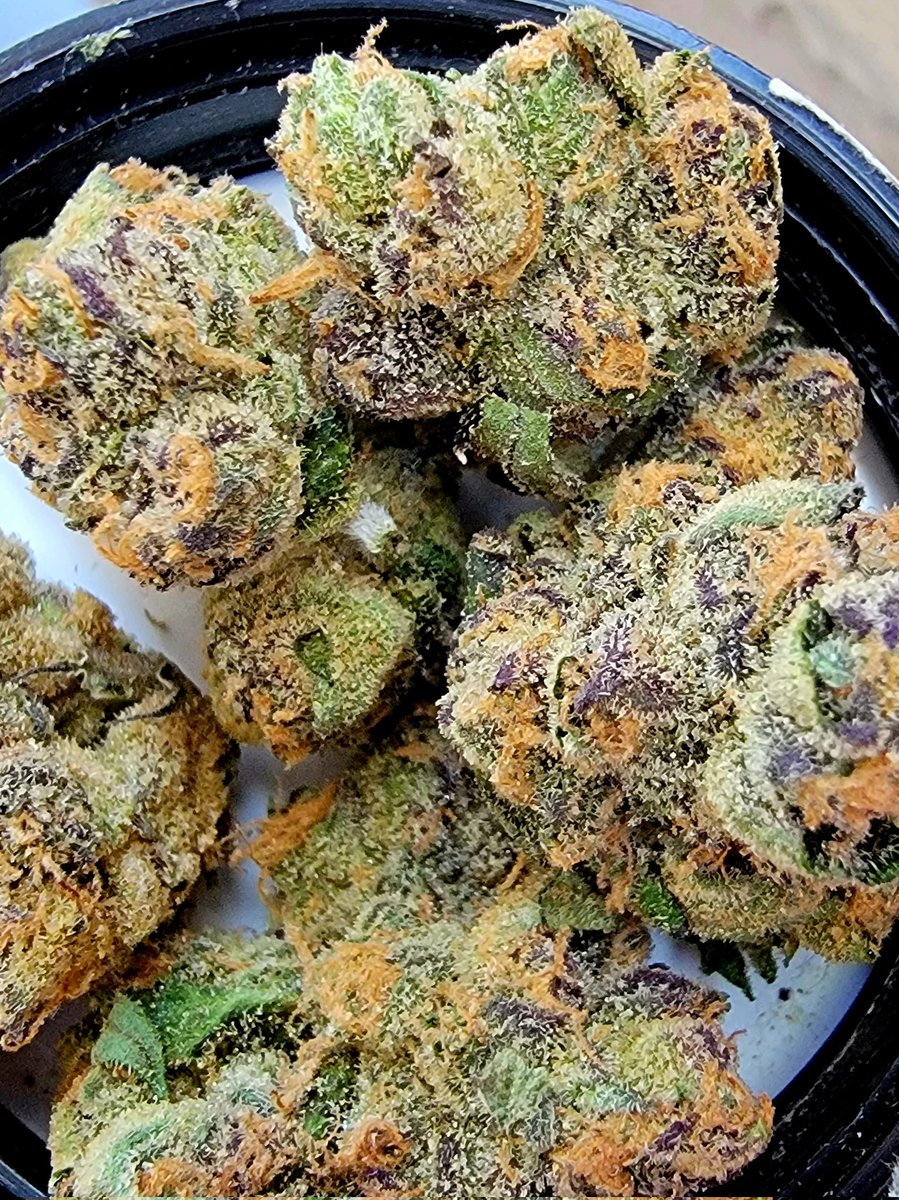 RS37 is one of my favorite strains right now. Just look at it, homie. #Mmemberville #CannabisCommunity #cannabis #StonerFam
