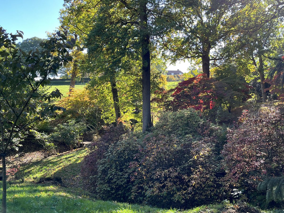 Duncanprebble's tweet photo. A really great and interesting day with fellow head gardeners at the networking day @HolePark With many thanks to Edward Barham showing us his magnificent garden together with @QjStark and Joe Archer. @rockola1958 @loujnicholls @HG_Philip https://t.co/glzdjrTjyd