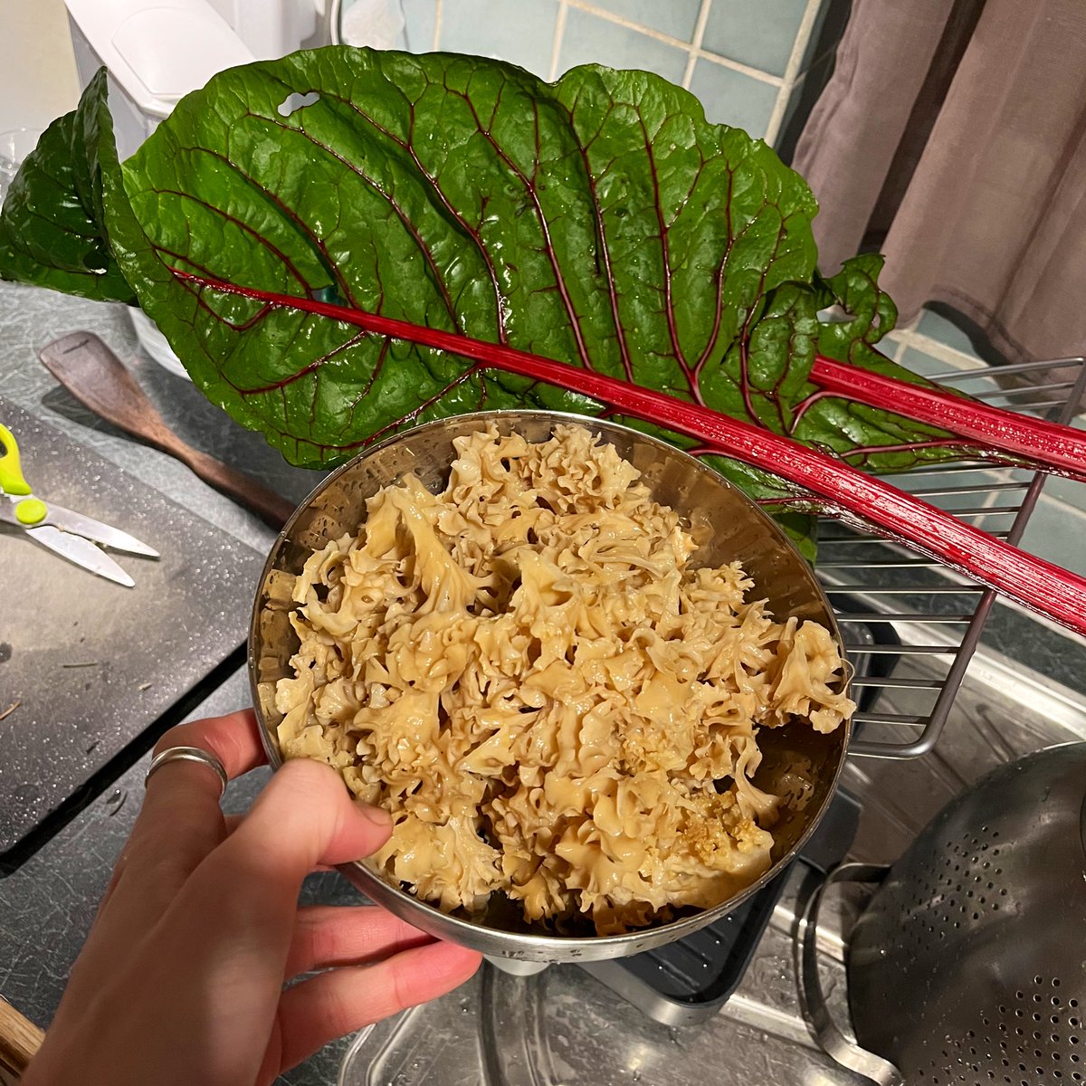 JonnyBright84's tweet photo. Onion and garlic from the allotment, chard from the garden, cauliflower mushroom from the woods. Mushroom stroganoff tonight with short grain brown rice. #chefJonny https://t.co/1EJ8CcpcnW