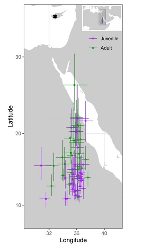 Bird Ecology & Migration Lab tweet media