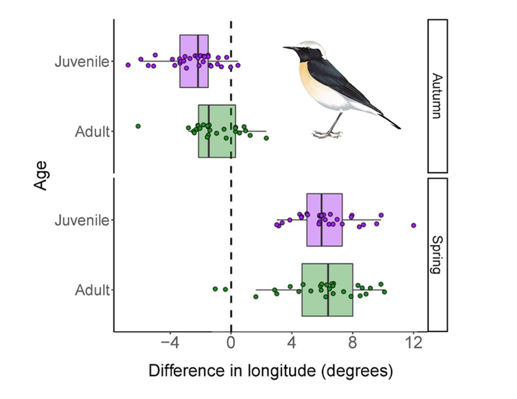 Bird Ecology & Migration Lab tweet media