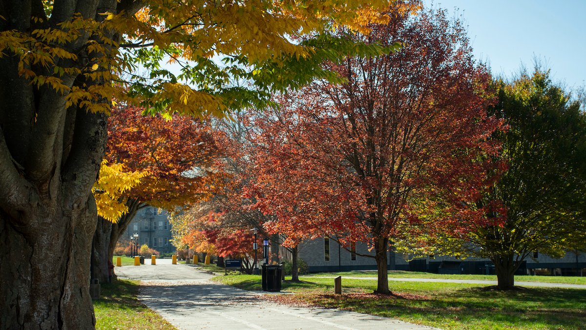 GreenURI's tweet photo. In October's issue of Rhody Green Scene, we celebrate #CampusSustainabilityMonth  by talking with campus experts about the history of energy-conservation initiatives at URI. Happy Campus Sustainability Month, everyone! 🍂

✨ Read more here --> https://t.co/k40d7nXk6x https://t.co/pBzQHUcTGr